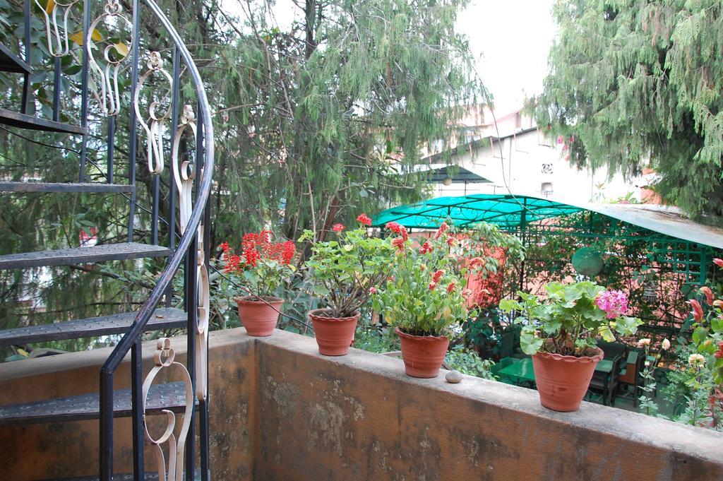 Souvenir Guest House Katmandu Oda fotoğraf