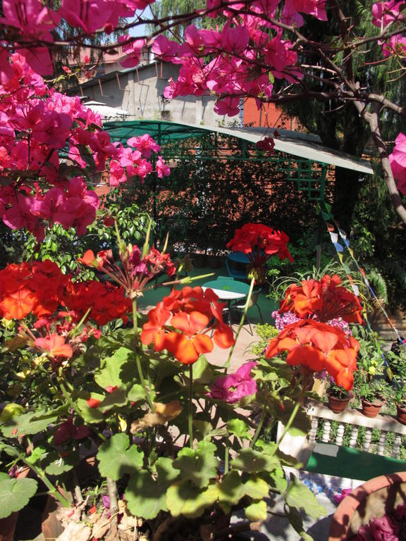 Souvenir Guest House Katmandu Dış mekan fotoğraf